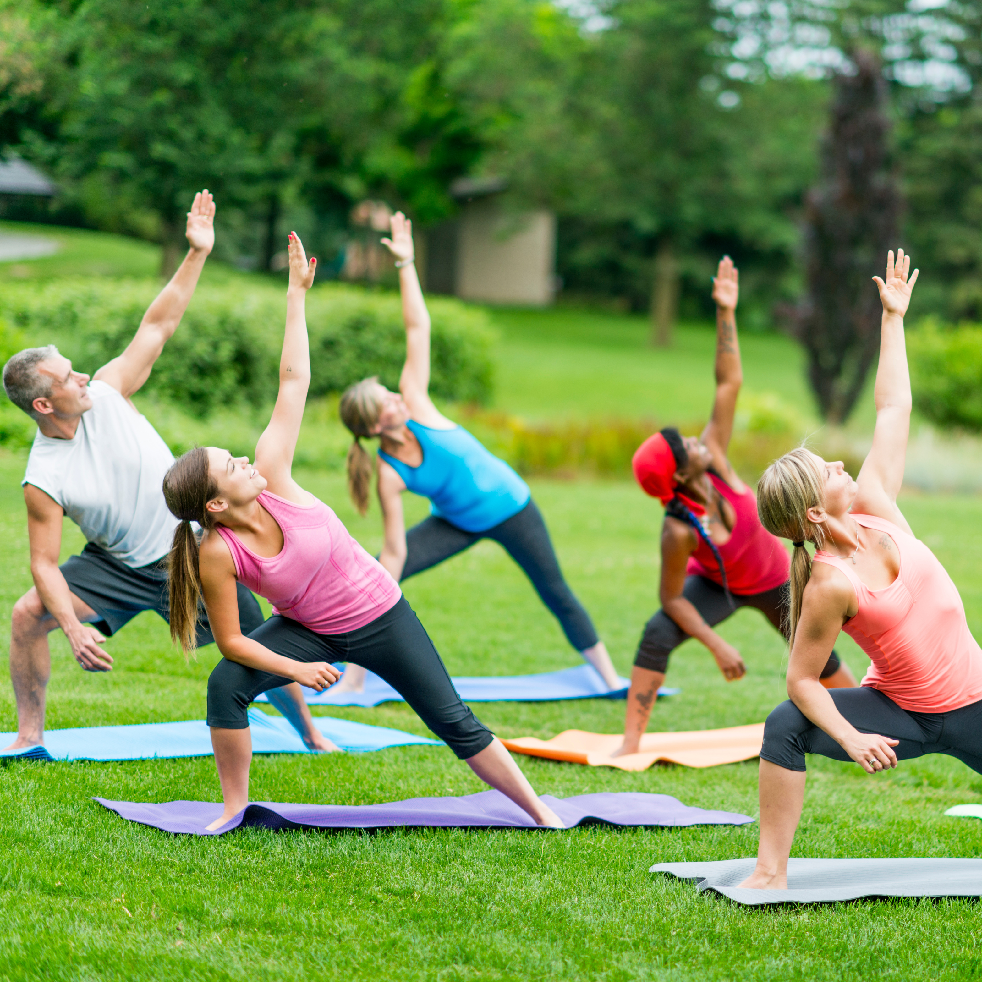 Unleash Your Inner Zen: A Beginner's Guide to Embarking on a Yaazh Yoga Journey